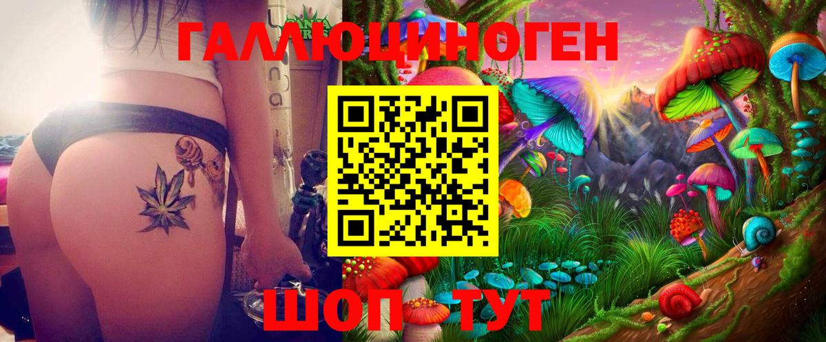 Галлюциногенные грибы MAGIC MUSHROOMS  Псилоцибиновые грибы GOLDEN TEACHER  Моздок  Вход с VPN 