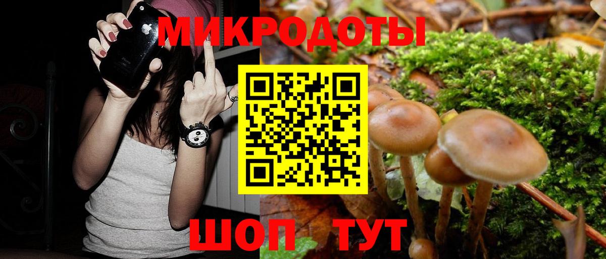 Псилоцибиновые грибы прущие грибы Моздок
